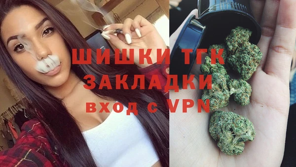 гидра Армянск