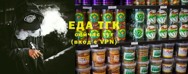 дживик Арсеньев