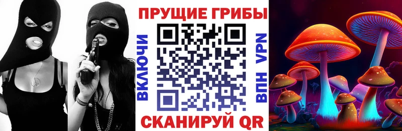 Псилоцибиновые грибы GOLDEN TEACHER как найти закладки Струнино